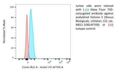 Flow Cytometry: Histone H3 [ac Lys9, ac Lys14] Antibody [NB21-1081] - Analysis of Alexa Fluor (R) 700 conjugate of NB21-1081. Jurkat cells stained with Alexa Fluor 700 conjugated acetylated Histone H3 antibody (blue) or isotype control (red). Image from verified customer review.